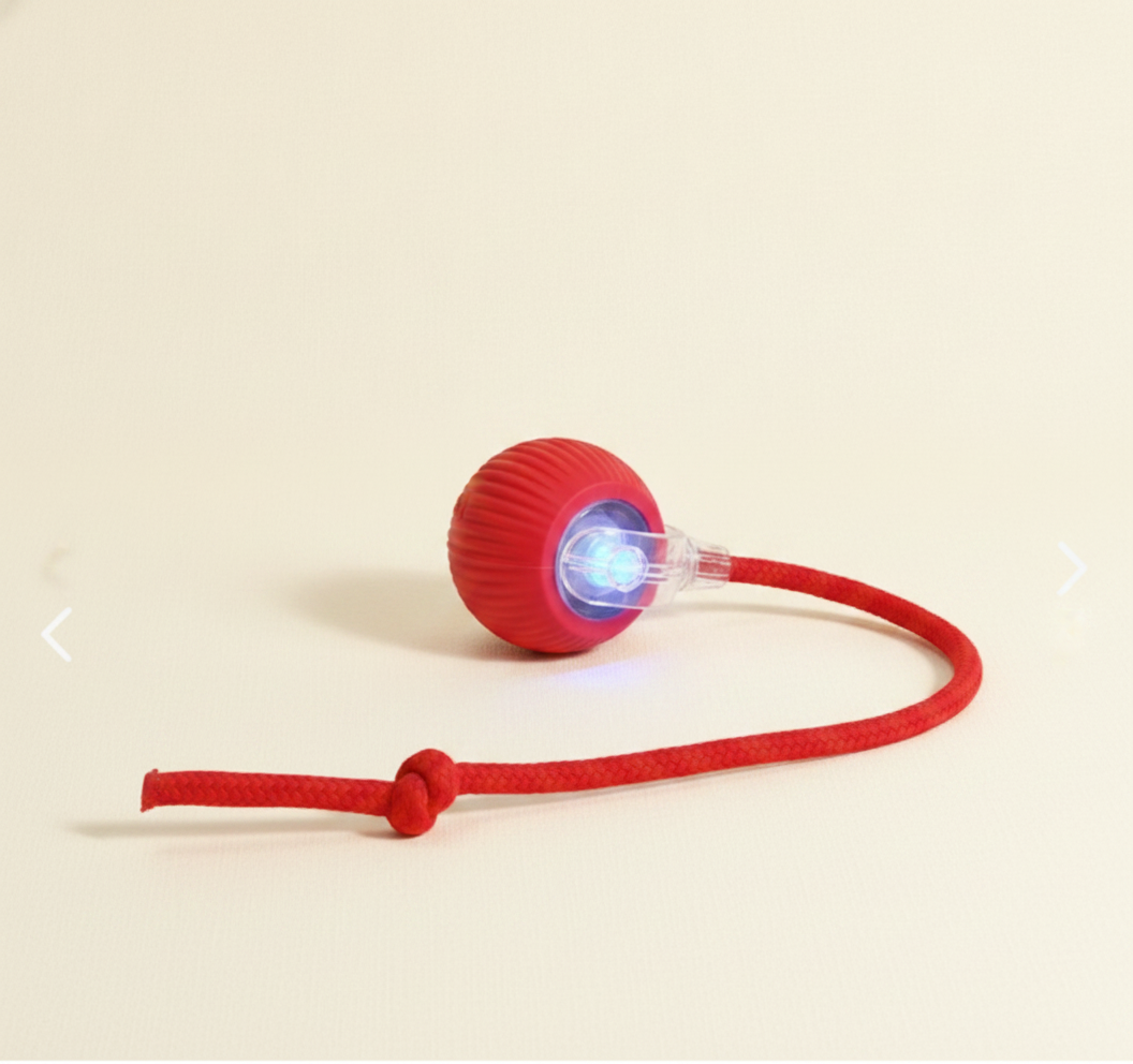 PetBall� � Pelota Interactiva con Colita para Mascotas